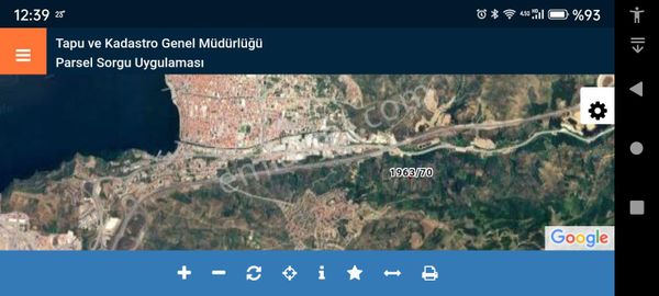 Gemlik Umurbey'de Bakımlı Satılık Zeytinlik 3266m2.