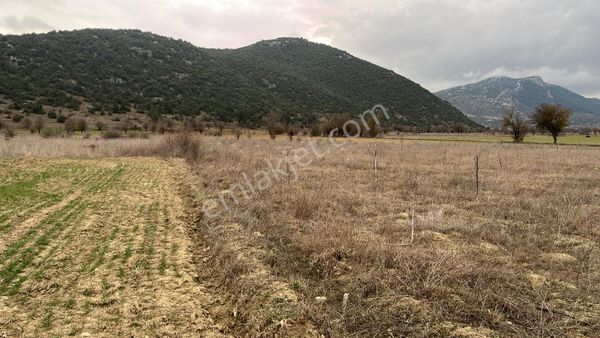 Asya Evim Gayrimenkulden Çanaklı Köyünde Satılık Arazi