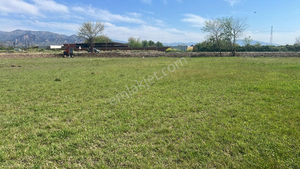 Anayola Cephelı Arsa