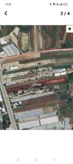 Belek Kadriyede Anayola Sıfır 5.784m2 Satılık Tarla