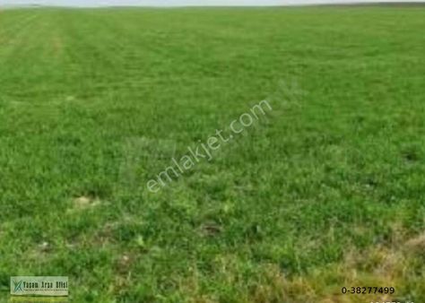 Kırklareli Lüleburgaz Ovacık Köyünde Satılık Tarla