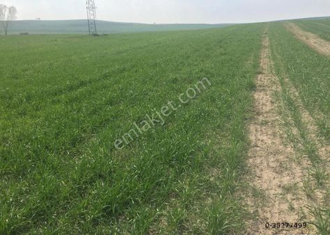 İstanbul Edirne D100 Kara Yoluna Cephe Satılık Arazi