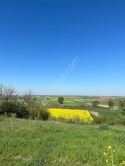 Müstakil Tapulu Kadastrol Yolu Olan Tarla 2700 M2 Kırkkepenekli