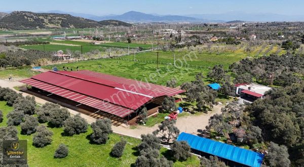 Yönter Emlaktan Tire Selçuk Ana Yol Üzerinde 19.600 M²