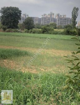 Osmangazi İsmetiyede Satılık Tarla