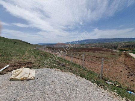 Güvenay - Çorum Sarmaşa Köyü Yanında Satılık Bahçe