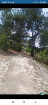 Eşref Emlak, Bademlik Mah. Kadastro Yoluna Cepheli Satılık Tarla