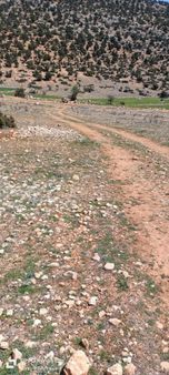 Beğiş Susuz 1500m2 Yatırımlık Tarla