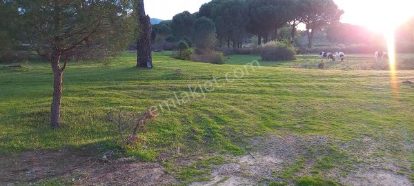 Kozak Yaylasında Ana Yola Cepheli Satılık Arazi...