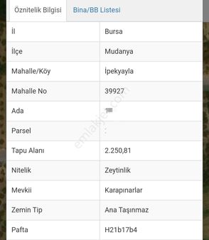 Ena Group Bursa Mudanya İpekyayla'da Asfalta Cephe 2250 M2 Satılık Bahçe