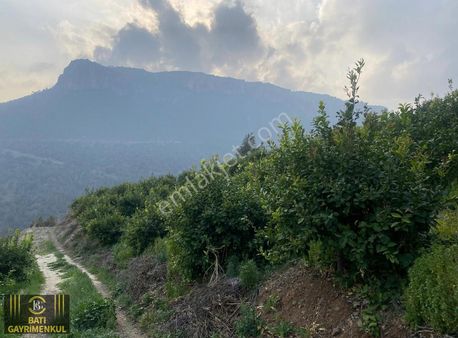 Erdemli'de Dağ Manzaralı Uygun Fiyata Satılık Limon Bahçesi