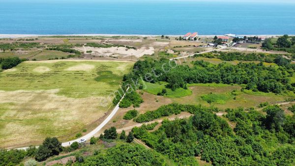 Karasu'da Doğayla İç İçe Yatırımlık Tarla! Denize Yakın Konum