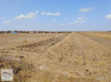 Muratlı Organize Sanayi'de Satılık 6 Dönüm Arsa