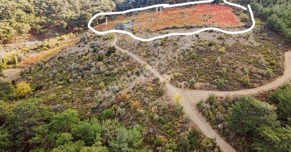 İzmir Karabağlar Kaçırmayacak Fırsat Acil Satılık