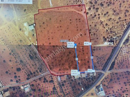 Seyran Emlaktan Satlık Bağ Evlik Yeri