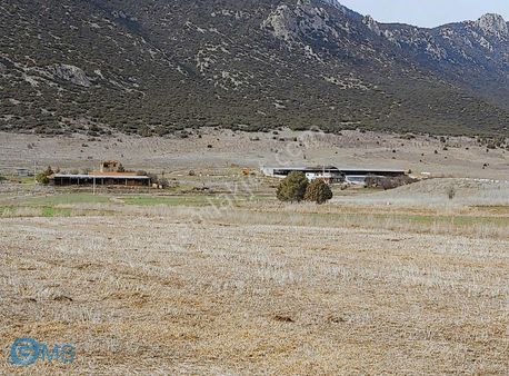 Burdur Yeşilova Alanköy De 2900m2 Yolu Suyu Mevcut Yatırımlık