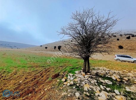 Korkuteli Sımandırda 2092m2 Tek Tapu Uygun Fiyat Yol Cepheli