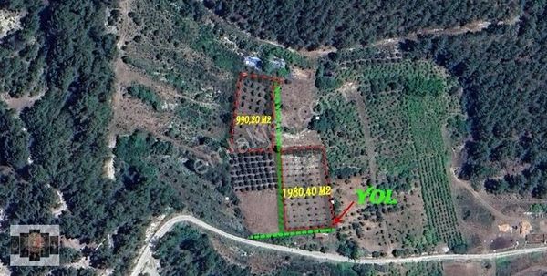 Erdemli Karayakup Mahallesinde 2971 M2 Satılık 2 Parsel