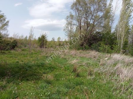 Doğanhisar Karaağa Da 1344m Müstakil Tapulu Satılık Tarla