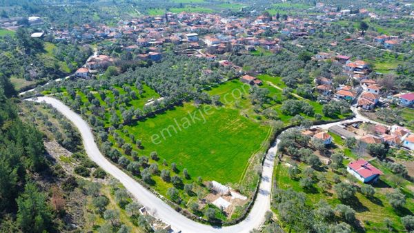Kaçırılmaycak Fırsat Milas Çamköy'de 3000 M² Konut İmarlı Arsa