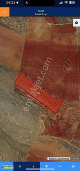 Takas,a Açık Tektapu Fıstıklık Manzaralı Konumu Yol Resmî