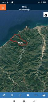 Satılık Fındık Bahçesi