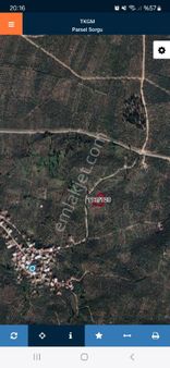 Bursa Orhangazi Heceler Mahallesinde Yerlesime Yakın Göl Manzaralı Zeytinlik