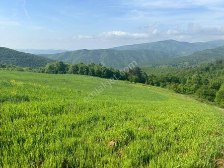 Kocaeli Karamürsel Tahtalı Mahallesi Satılık Tarla 14193 M2