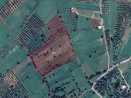 Bodrum Sazköy Mahallesinde Satılık Tarla Hissesi