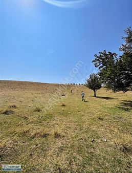 Turyap'tan Gölbaşı İkizce Köyü Girişinde Satılık Müstakil Bahçe!