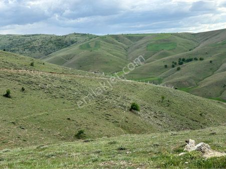 ^-^civanpınar Mevki-250 M2 102 Ada 53 Parsel Hobi Bahçesi Ve Yatırımlık^-^