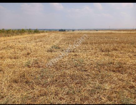 Asil Emlaktan Satılık Tarla