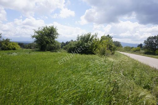 Çanakkale Bayramiç Yiğitler Köyü 13.450 M2 Asfalt Cephe Tarla.