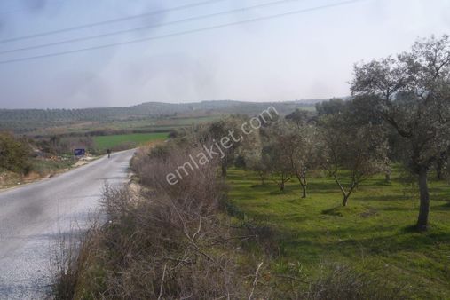 İzmir Torbalı Gold Emlaktan Tirede Satılık Bahçe