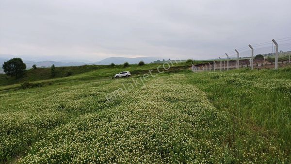 Kocaeli Karamürsel Kızderbent Mahallesi Satılık Tarla 1513 M2