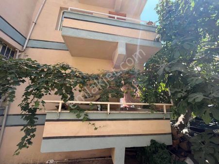 İsabeyli Mahallesinde Kampüse Yürüme Mesafesinde