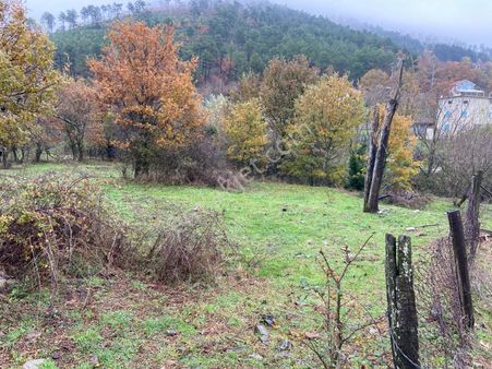 Bayındır Alankıyı Köyü 210 Ada 4 Parsel 1123 M2 Satılık Tarla