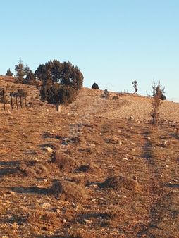 Simandır Da Satılık Tarla