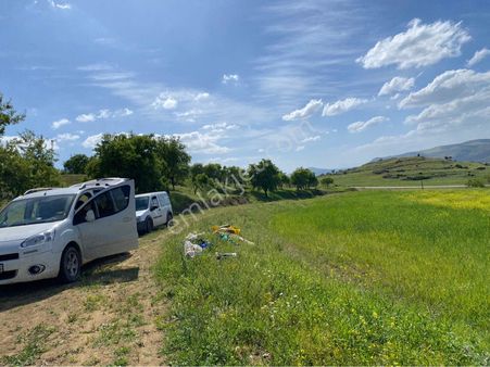 Kilis Polateli Bağarası Köyünde Satılık Zeytin Ve Bademlik