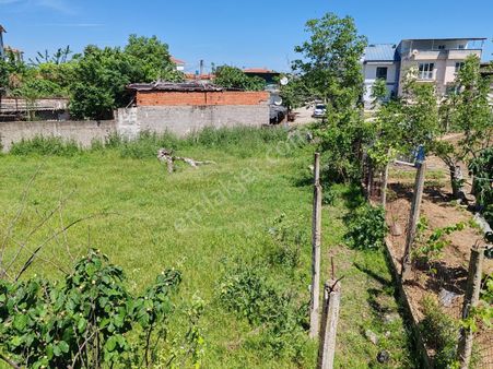 276 M2 Gönen Tırnova Mah.satılık Konut İmarlı Arsa Asepsus Emlak