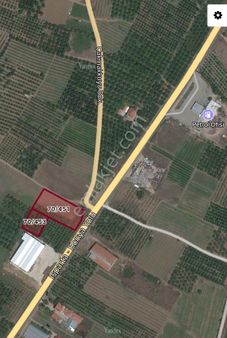 Özelliklerini Saysay Bitmiyor