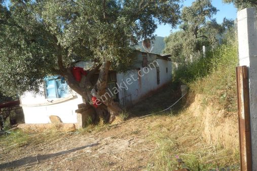 İzmir Torbalı Gold Emlaktan Satılık Bahçeli Ev