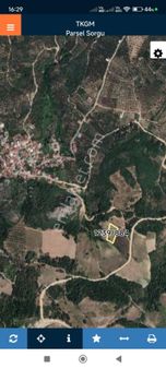 Bursa İznik Mustafalı Mah Satlık Göl Manzaralı Zeytinlik