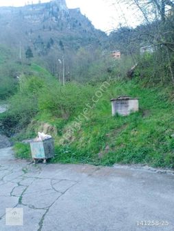 Trabzon Tonya Karaağaç Köyünde Satılık Arsa Köy İmarlı