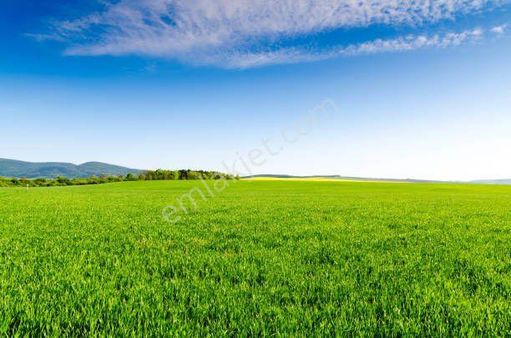 Bursa Keles Baraklıda Satılık 4900 M2 İçinde Evi Olan Hobi Bahçesi Satılıktır