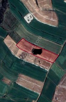 Kırklareli Satılık Arazi