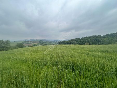 Kocaeli Karamürsel Kızderbent Mahallesi 4004 M2 Satılık Tarla