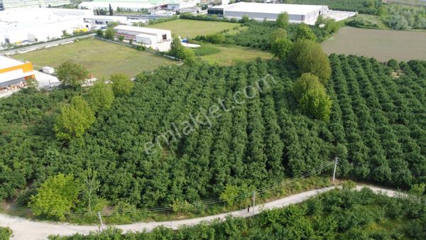 Remax Ay Kuzuluk Bacalı Sanayi Arsası