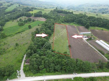 Kocaeli Karamürsel Çamdibi Mahallesi Satılık Tarla 5038 M2