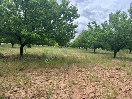 Havaalaını Yolunda Satılık Bahçe
